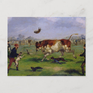 Bull Baiting (olie op papier op het paneel) Briefkaart