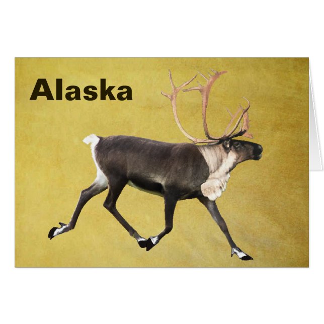 Bull Caribou (Devant horizontal)