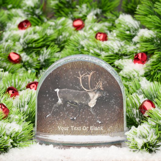 Bull Caribou (Reindeer) (Noël)