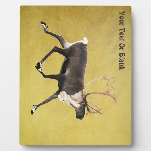 Bull Cariou Fotoplaat (Voorkant)