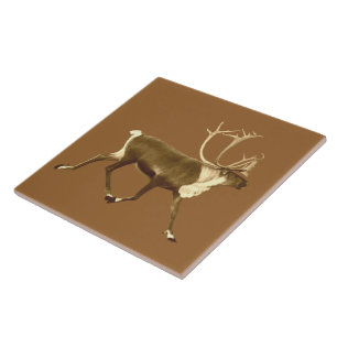 Bull Cariou - Sepia Tegeltje