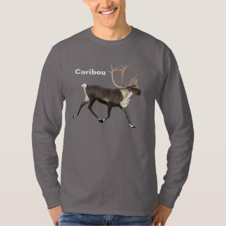 Bull Cariou T-shirt