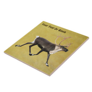 Bull Cariou Tegeltje