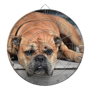 Bull Dog Dartbord