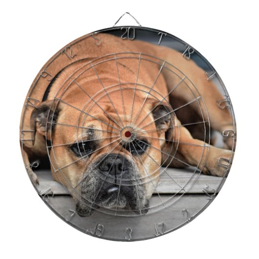 Bull Dog Dartbord (Voorkant)