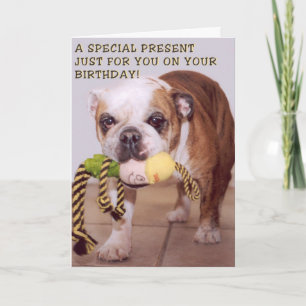 Bull Dog verjaardagskaart Kaart