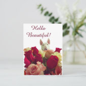 Bull-doodsbang met rozen begroeting - Hallo pracht Briefkaart (Staand voorkant)