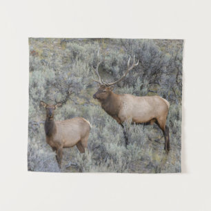 Bull eland Nationaal park Yellowstone, Wyoming Wandkleed