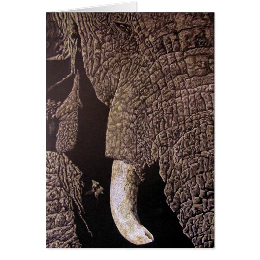 Bull Elephant (Devant)