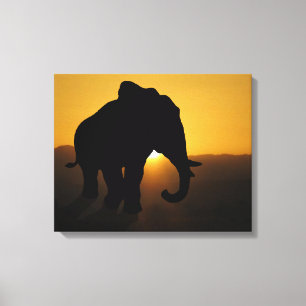 Bull Elephant Canvas Afdruk