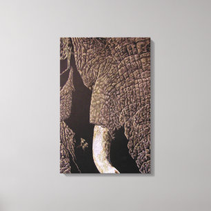 Bull Elephant Canvas Afdruk