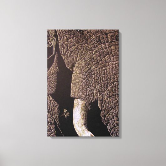 Bull Elephant Canvas Afdruk (Voorkant)