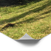 Bull Elephant Poster (Hoek)