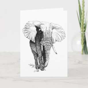 Bull Elephant studie Verjaardag Kaart