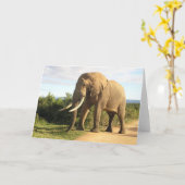 Bull Elephant Wenskaart Kaart (Gele Bloem)