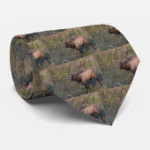 Bull Elk 1 Stropdas (Opgerold)