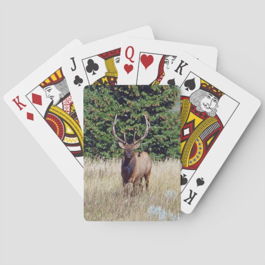 Bull Elk Bicycle Playing Cards Pokerkaarten (Achterkant)