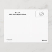 Bull Elk Briefkaart (Achterkant)