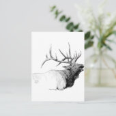 Bull Elk Briefkaart (Staand voorkant)