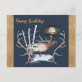 Bull Elk Briefkaart (Voorkant)