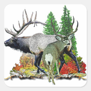 Bull elk buck hert vierkante sticker