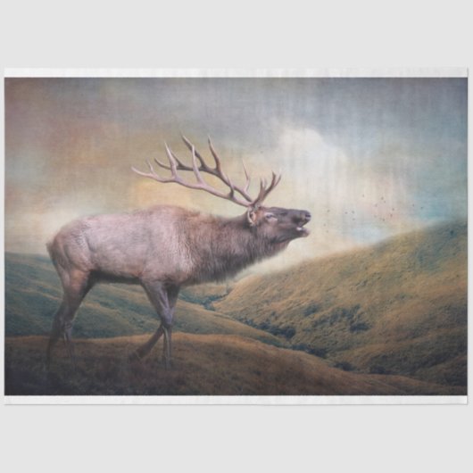 Bull Elk Bugling Wildlife Decoupage Tissuepapier (Voorkant)