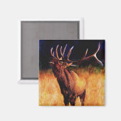 Bull Elk Call Of The Wild, Magnet (Recto/Verso)