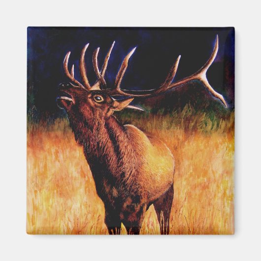 Bull Elk Call Of The Wild, Magnet (Devant)