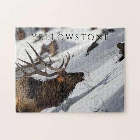Bull Elk Grazing op Snowy Slope, geelsteen Legpuzzel (Horizontaal)
