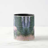 Bull elk in bergen van Colorado Mok (Midden)