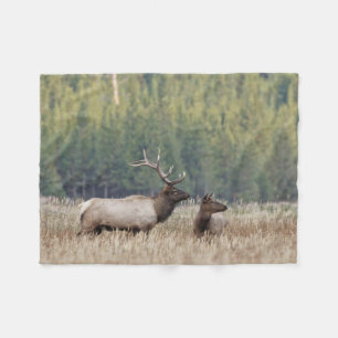 Bull Elk in Meadow   Nationaal Park Yellowstone Fleece Deken