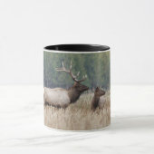 Bull Elk in Meadow | Nationaal Park Yellowstone Mok (Midden)