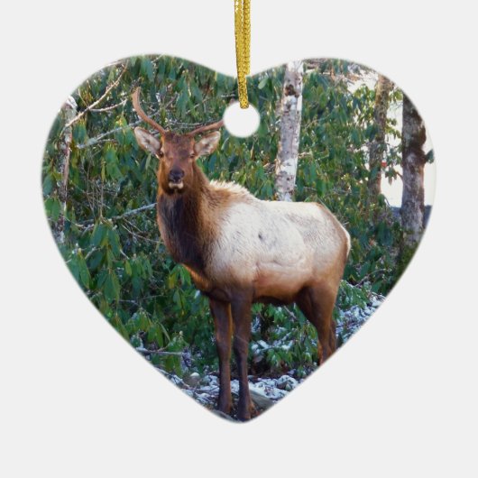 Bull Elk in Rhododendrons Keramisch Ornament (Voorkant)