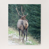 Bull Elk Jigsaw Puzzle (Vertical)