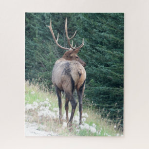 Bull Elk Jigzaag Puzzle Legpuzzel