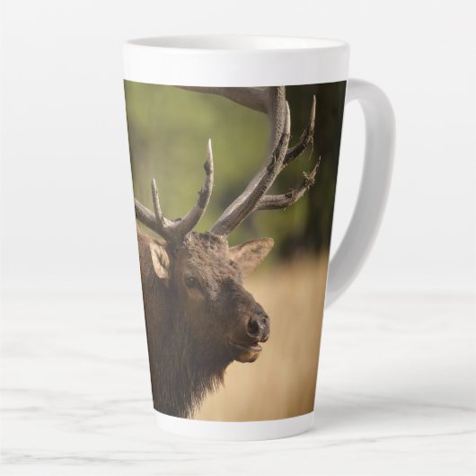 Bull Elk Latte Mug (Angle droit)