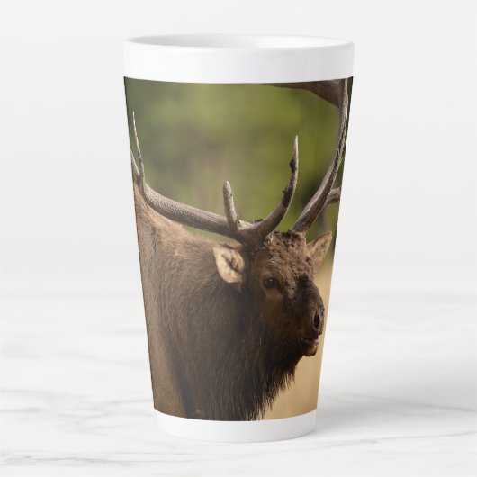 Bull Elk Latte Mug (Devant)