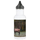 Bull Elk Marche matinale Bouteille d'eau en acier  (Droite)