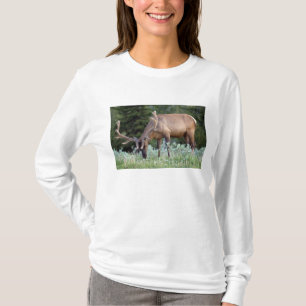 Bull Elk met gewei in fluwelen begrazing T-shirt