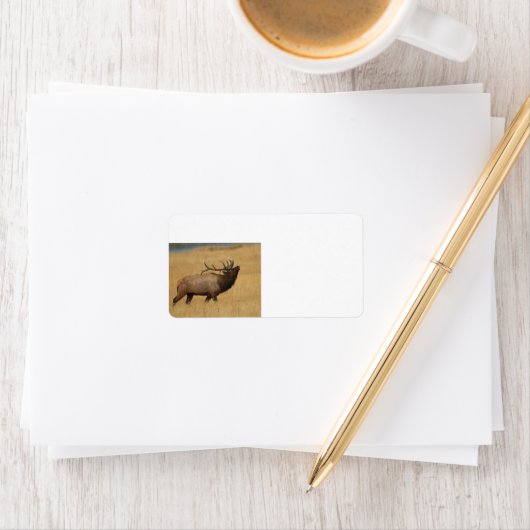 Bull Elk met Hoofd Terug Etiket (Insitu)