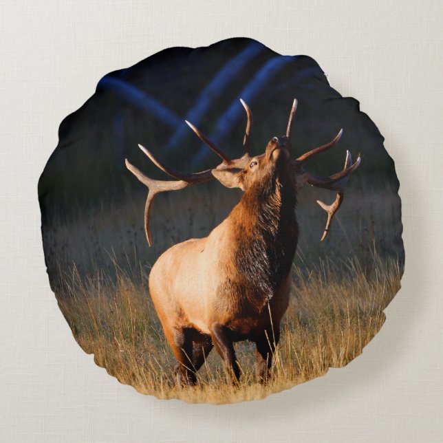 Bull Elk met hoofd terug Rond Kussen (Achterkant)