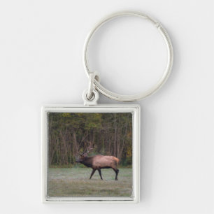Bull Elk Morning Walk Sleutelhanger