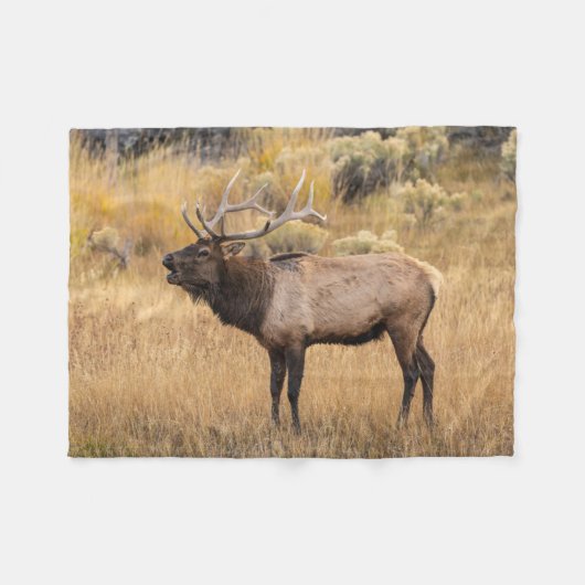 Bull Elk | Nationaal Park Yellowstone Fleece Deken (Voorkant (Horizontaal))