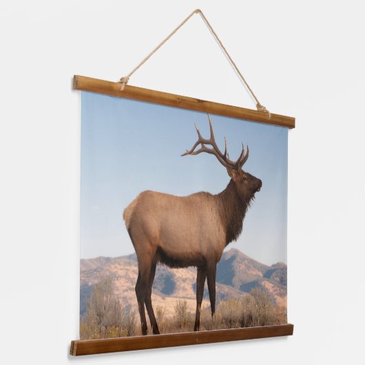 Bull Elk Near Mammoth | Wyoming Hangend Wandkleed (Gebogen)