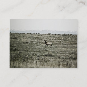 Bull Elk P2800 Mini Print Visitekaartje