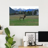 Bull Elk Poster (Thuiskantoor)