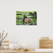 Bull Elk Poster (Keuken)