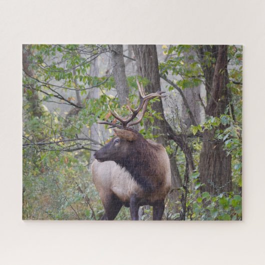 Bull Elk Puzzle Legpuzzel (Horizontaal)
