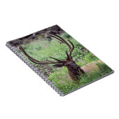 Bull Elk resting in Alpine Meadow met Antlers Notitieboek (Rechterzijde)