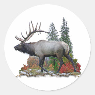 Bull Elk Ronde Sticker